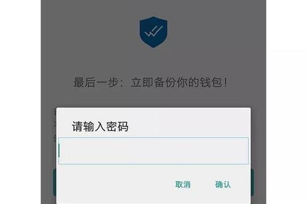 Tp钱包没有确认支付