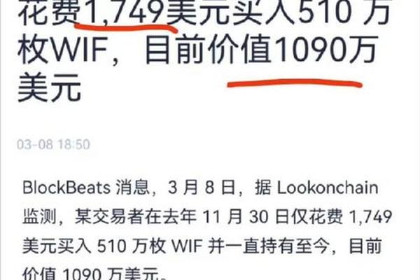 tp钱包sol链买币