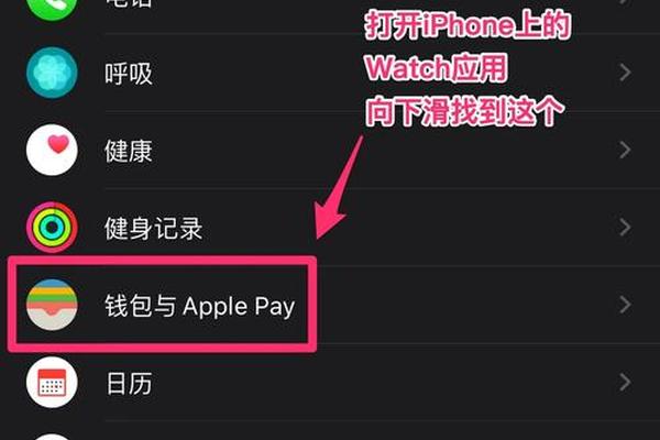 tp钱包怎么创建不了钱包呢