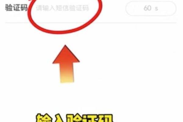 tp钱包怎么使用教程