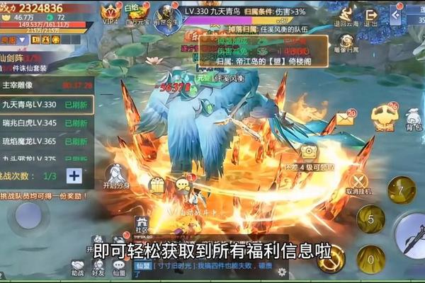 2025年1月1日 第2页