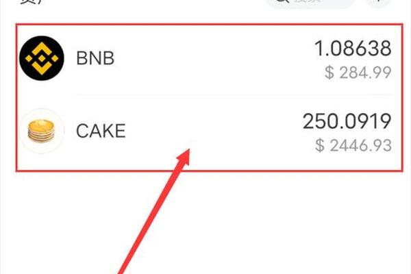 tp钱包trx转bnb